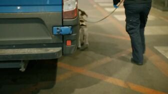 Dover 24 7 Britains Busiest Port S02E05 WEB H264-RBB